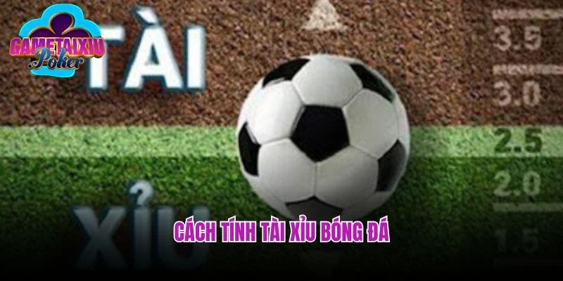 Hướng Dẫn Cách Tính Tài Xỉu Bóng Đá Chi Tiết – Không Lo Sai Kèo!